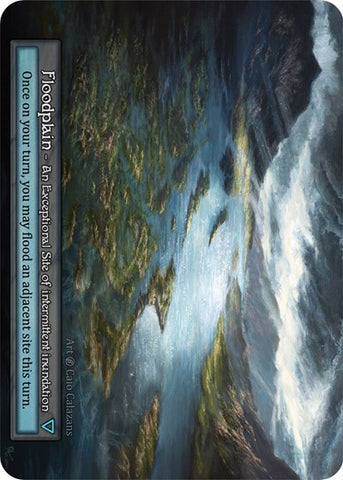 Floodplain (Beta)(EX)