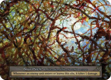 Briar Patch (Arthurian Legends)(EX)