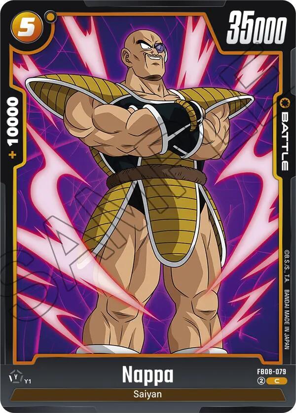 Nappa (FB08-079)(C)