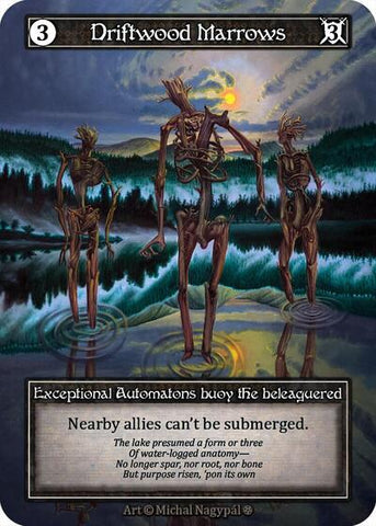Driftwood Marrows - Foil (Gothic)(EX)